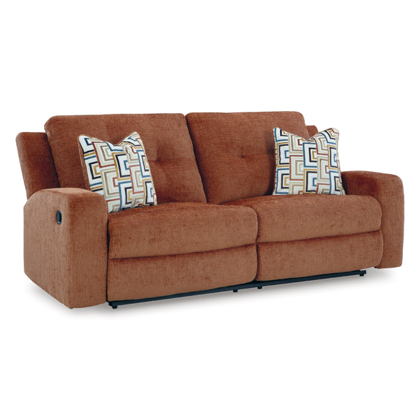 Signature Design by Ashley Danum Reclining Sofa 3880781 IMAGE 1